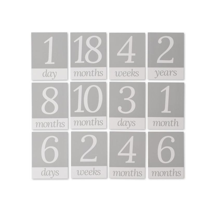 Little Unicorn Photo Blanket & Mileston Card Set - Summer Poppy