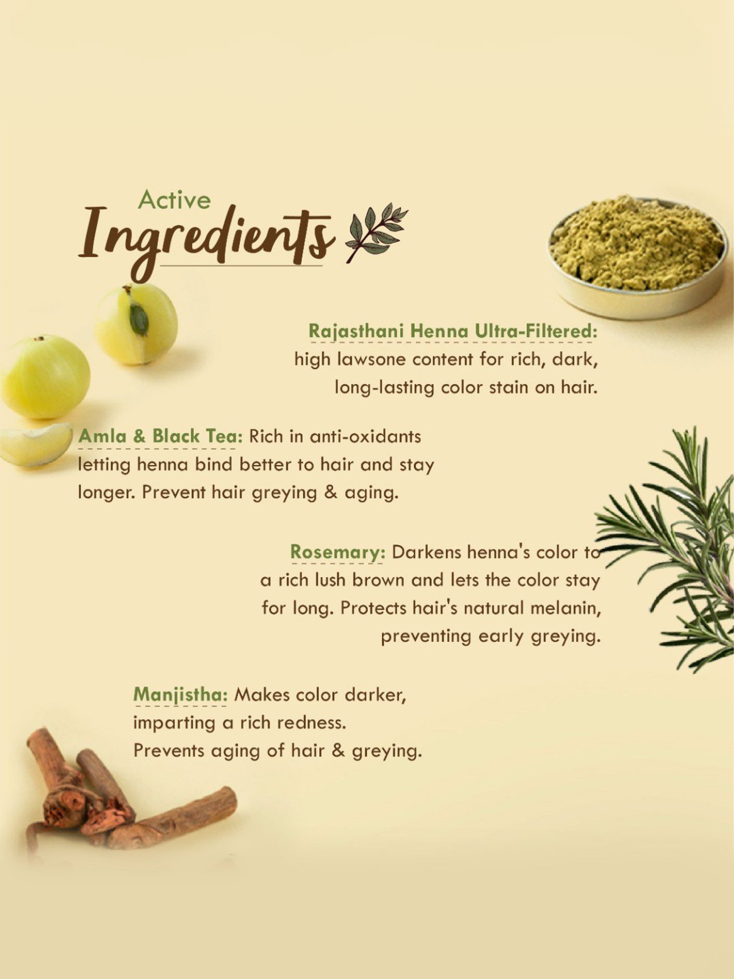 Nat Habit Ready-To-Apply Henna Paste Hair Color - Pack of 4