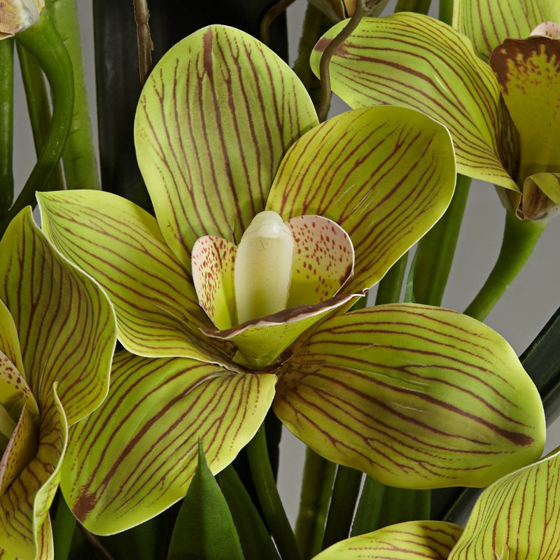 Dahlia Studios Green Cymbidium Orchid 21 1/2" High Faux Flowers in Pot