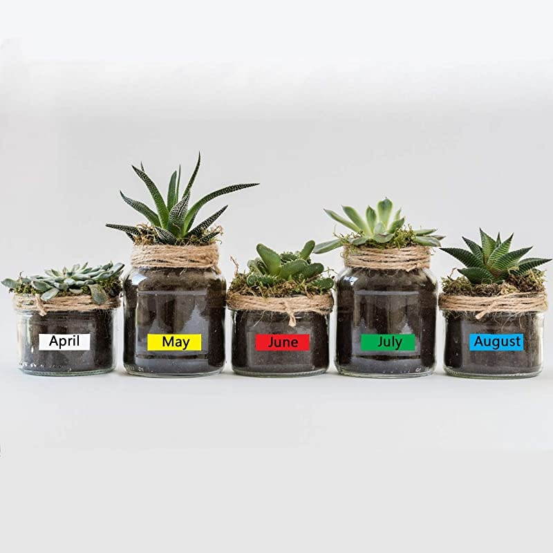 Label Tape Replacement for DYMO LetraTag Refills Plastic Label Tape 91331 91332 91333 91334 91335 for DYMO LetraTag LT-100H LT-100T QX50, 1/2 Inch x 13 Feet(12mm x 4m), 5-Pack