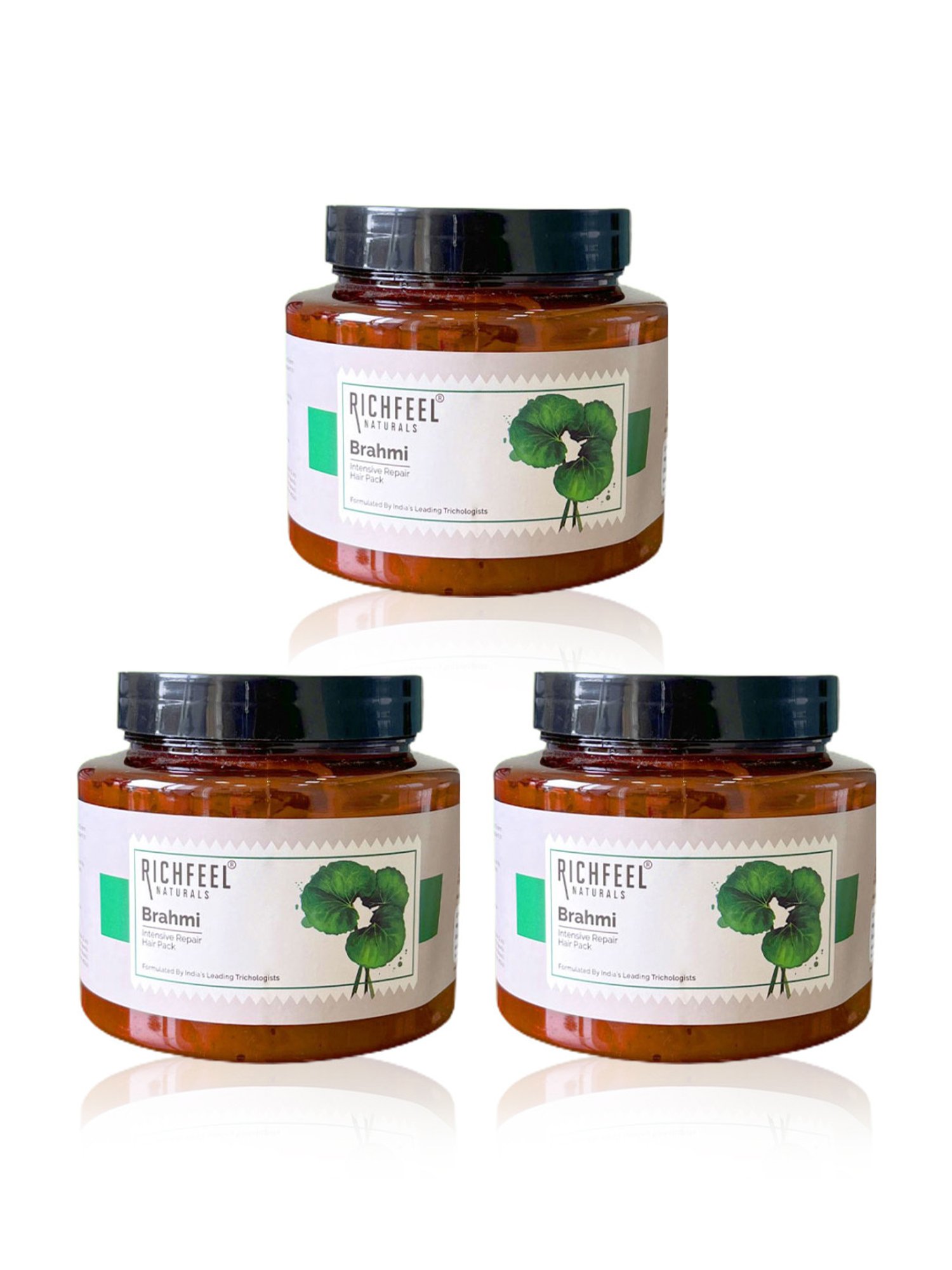 Richfeel Brahmi Intensive Repair Hair Pack (500 gm) - Pack of 3