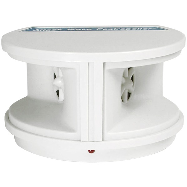 18-Ft. Classic LED Cafe Lights(TM) with 9 Acrylic Bulbs, Black Cord