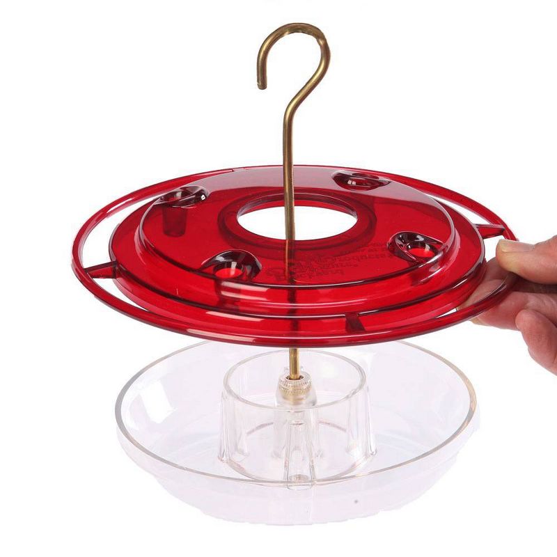 Birds Choice 8oz Hummingbird Bird Feeder