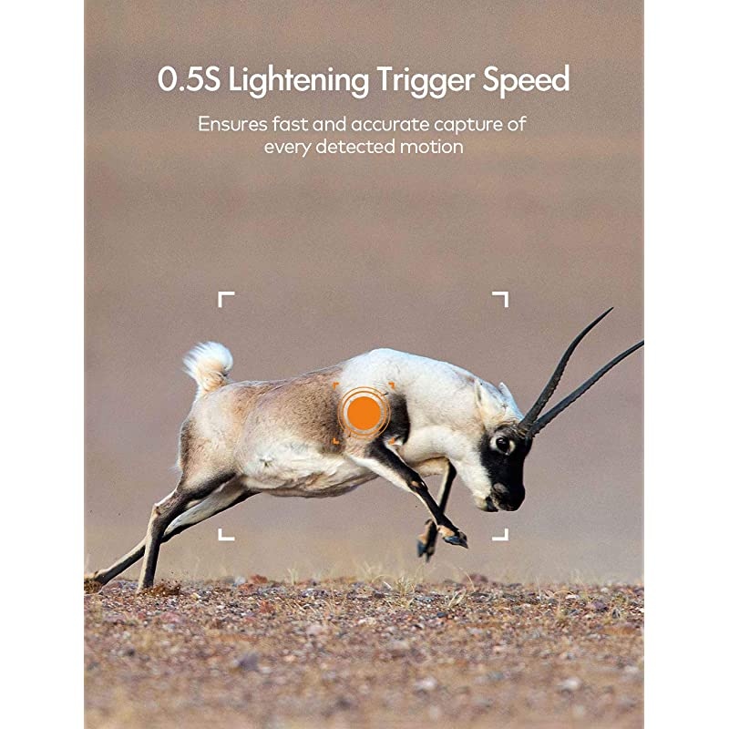 Trail Camera 16MP 1080P NoGlow Infrared Night Vision Hunting Camera for Wildlife Monitoring Garden Home Security Surveillance