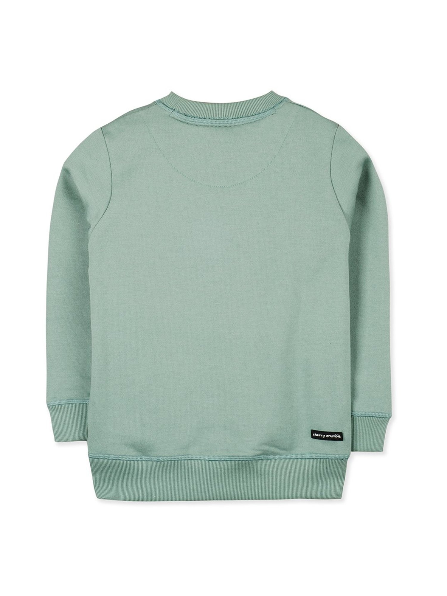 Cherry Crumble By Nitt Hyman Kids Olive Applique Sweatshirt