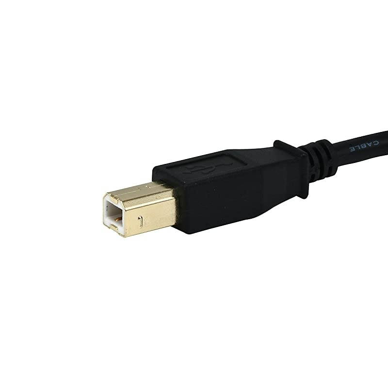 10ft Gold Plated 28/24AWG USB 2.0 A Male to B Male Cable