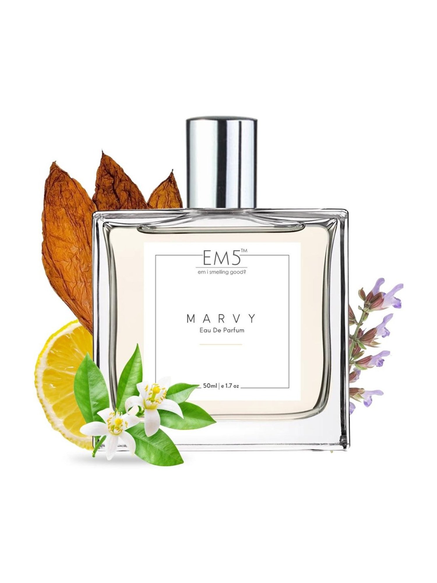EM5 Marvy Eau de Parfum for Men - 50 ml