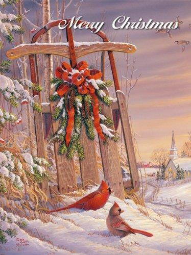 LANG - "Wintertime Cardinal", Boxed Christmas Cards, Artwork by Sam Timm" - 18 Cards, 19 envelopes - 5.375" x 6.875"