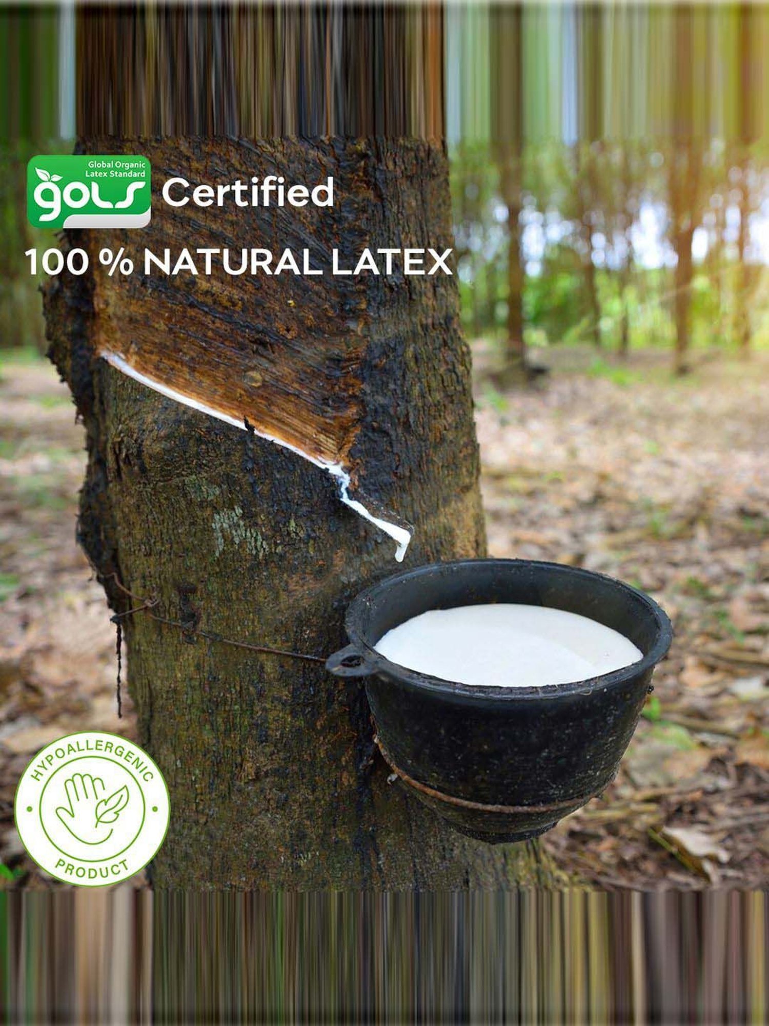 Sleepyhead Laxe Grey Foam 100% Natural Pincore Latex Mattress