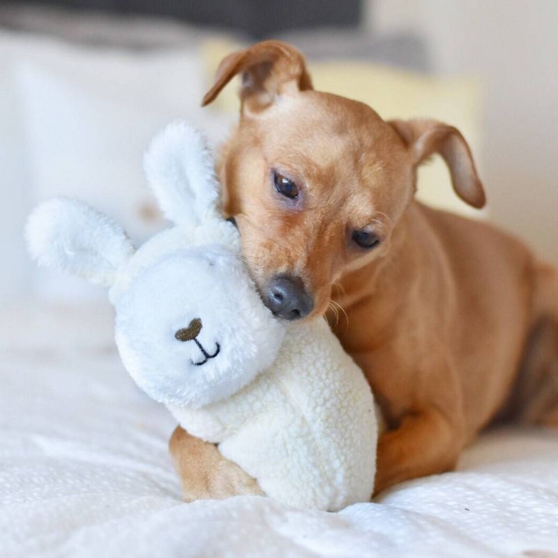 ZippyPaws Storybook Snugglerz Liam the Llama Dog Toy