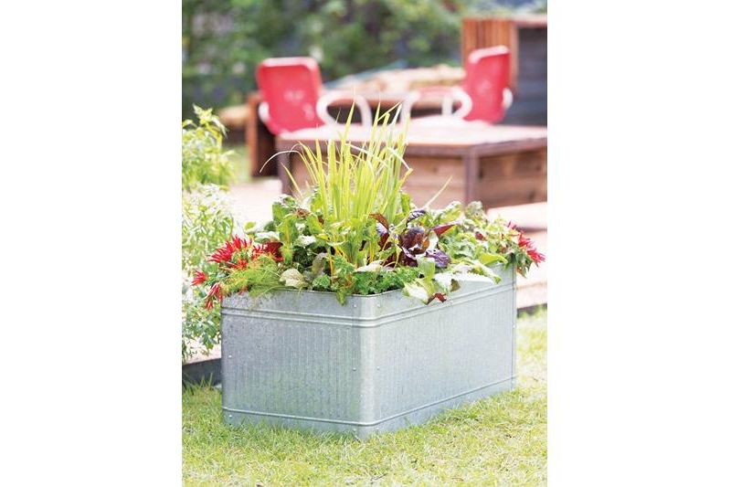 Vintage Raised Bed - Panacea Products