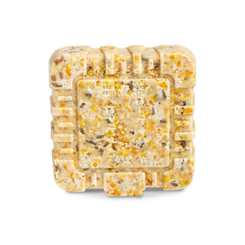 KAYTEE Wild Berry Suet Bird and Wildlife Food - 11.75oz