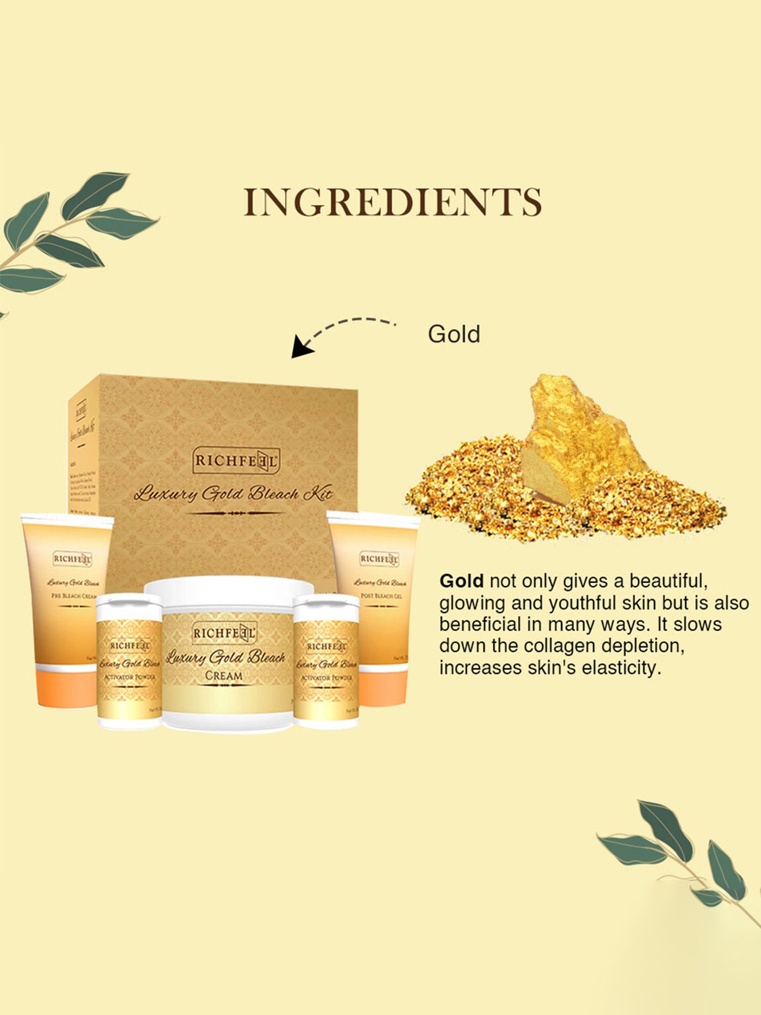 Richfeel Luxury Gold Bleach Kit