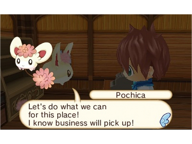 Hometown Story Nintendo 3DS Game