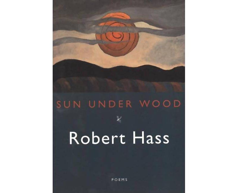 Haiku in English - by  Jim Kacian & Philip Rowland & Allan Burns (Paperback)