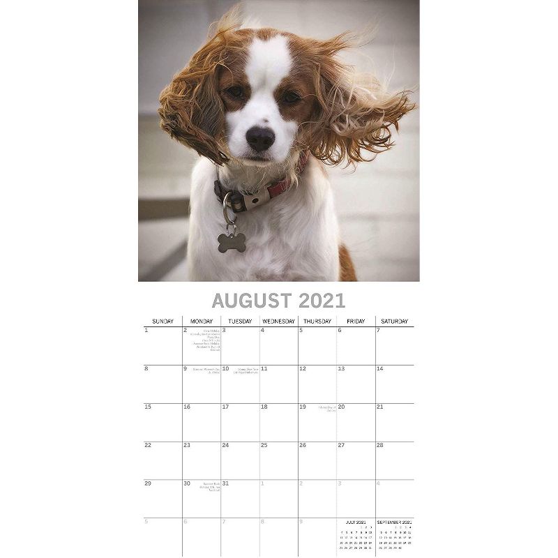 2021 The Everygirl Wall Calendar 15" x 12" Liam - Blue Sky