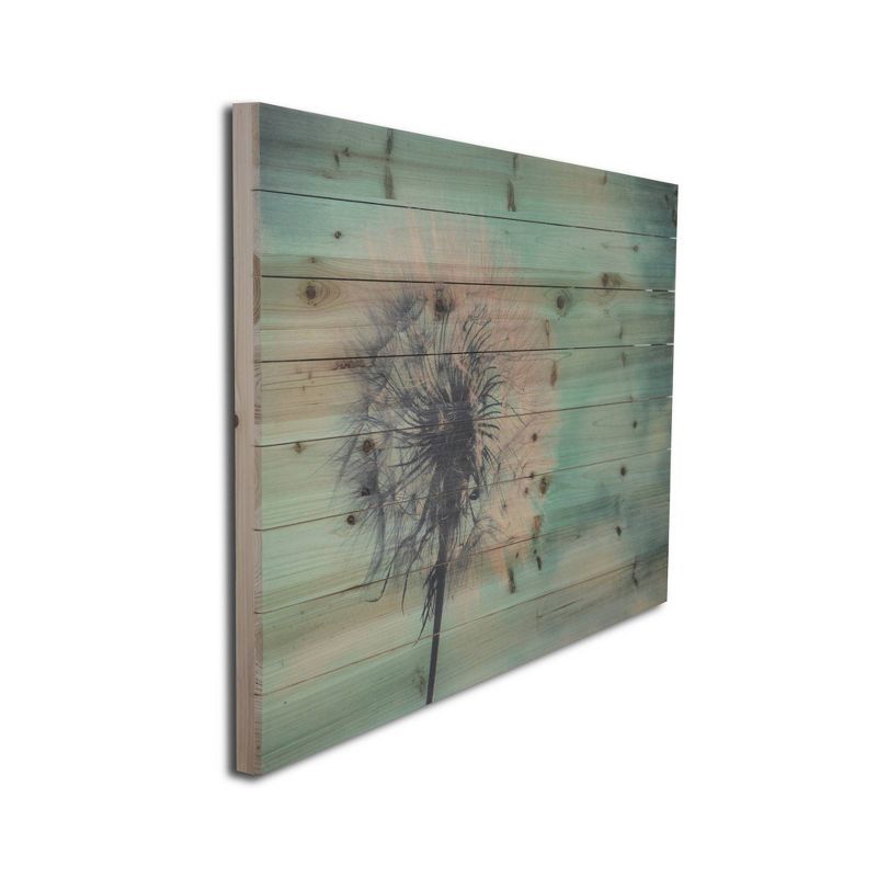 24" x 36" Dandelion Print on Planked Wood Wall Sign Panel Blue - Gallery 57