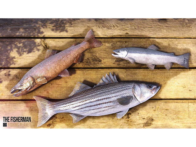 The Fisherman: Fishing Planet - PlayStation 4