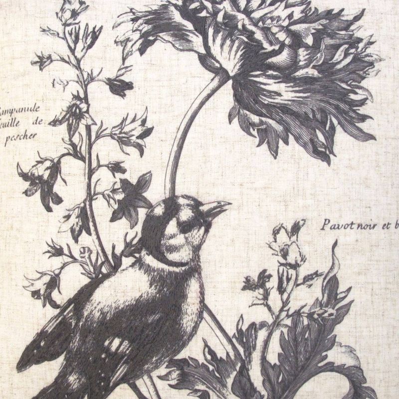 20"x20" Nature Bird Pillow Natural - Edie@Home