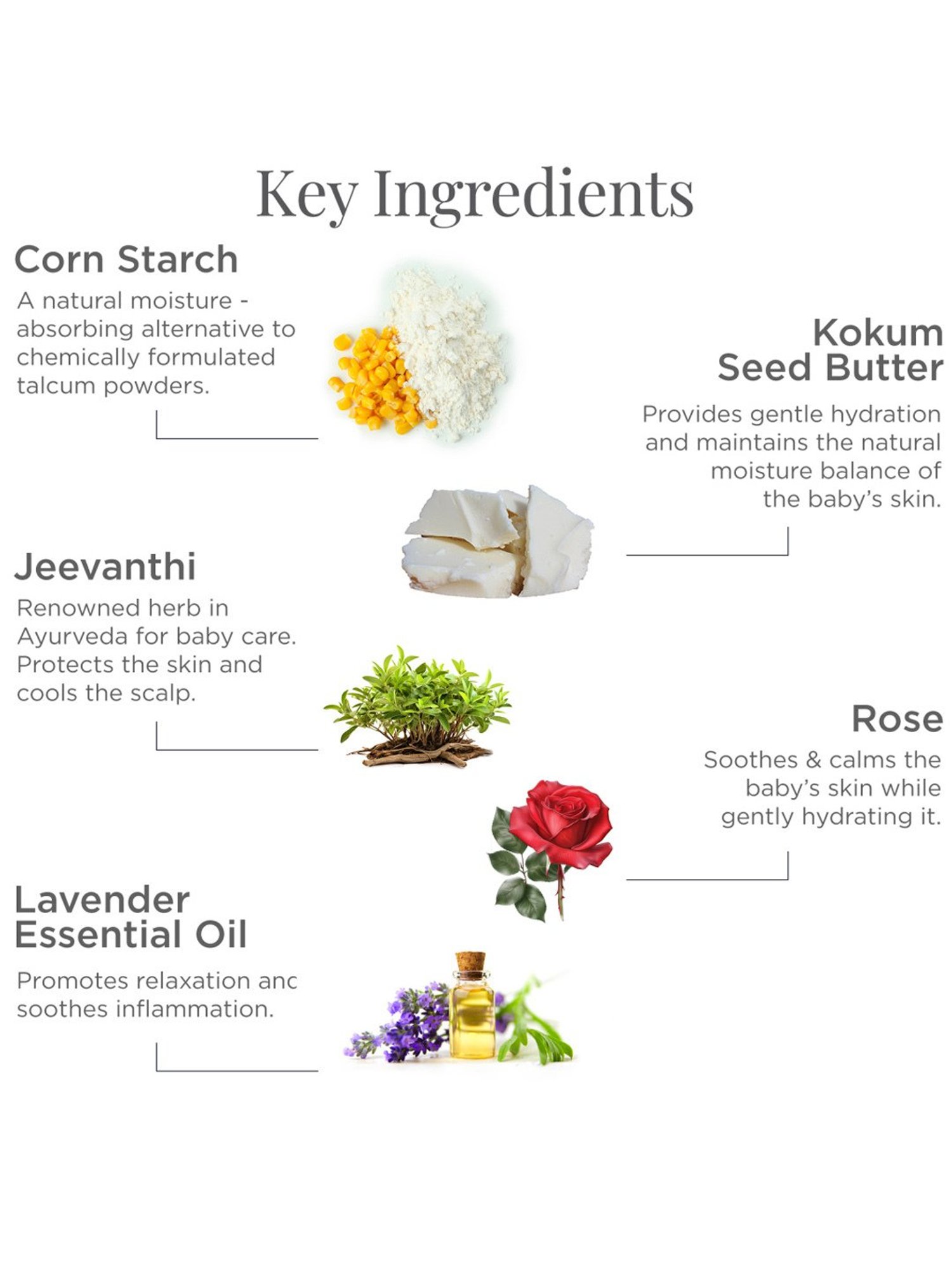 Forest Essentials Natural Dasapushpadi Talc Free Body Powder for Babies - 90 gm