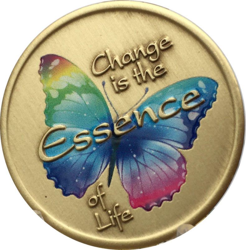 Change Is The Essence Of Life Color Rainbow Butterfly Serenity Prayer Medallion Chip