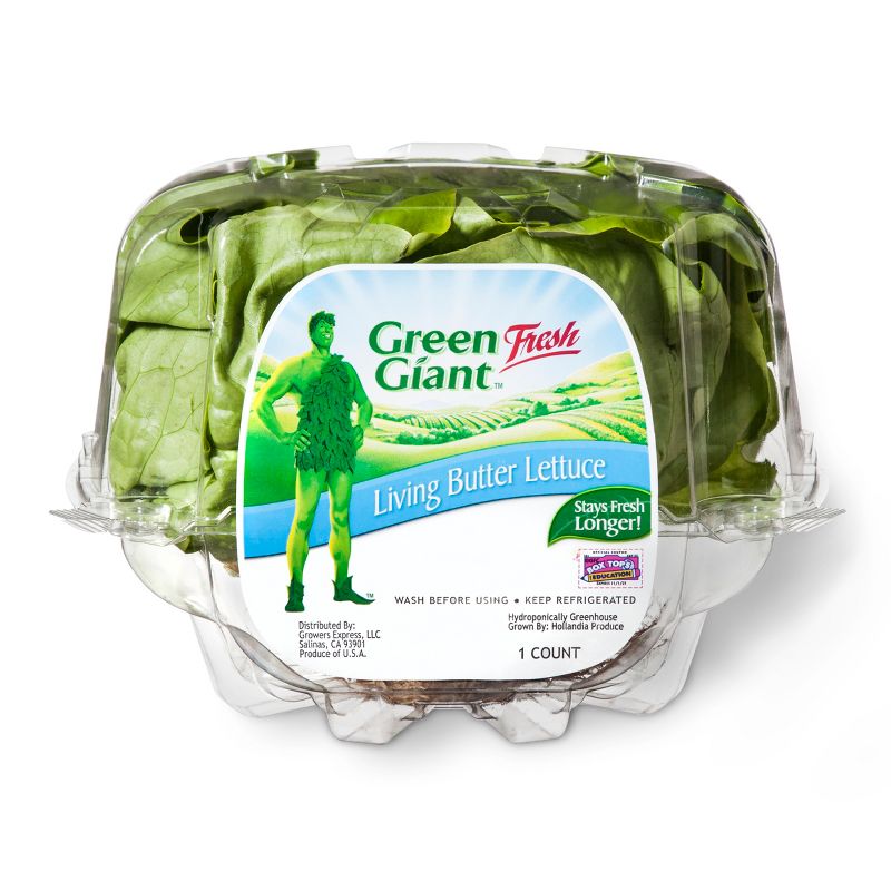 Butter Lettuce Head - Each