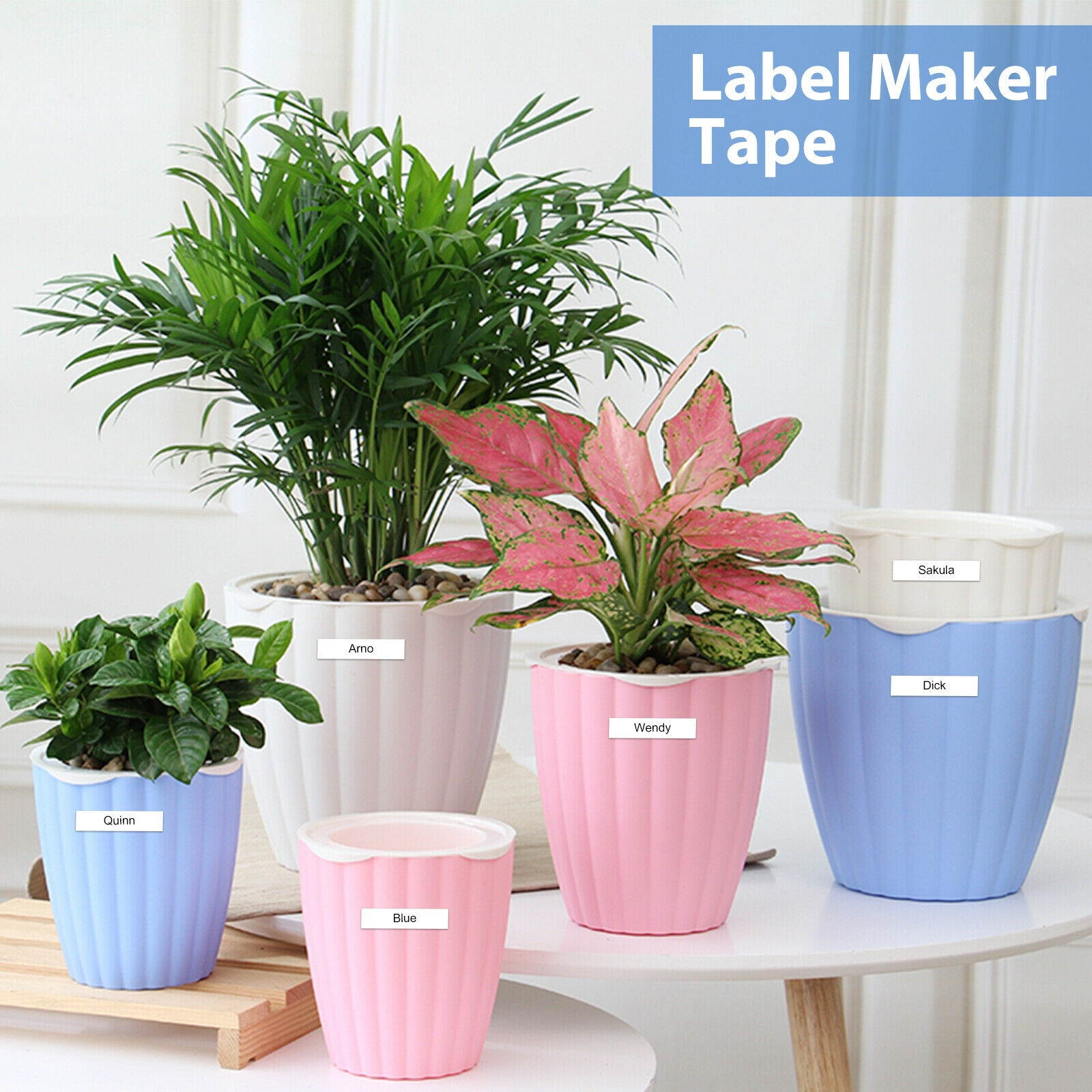 5Pcs Compble Label Maker Tape 12mm Replacement for TZ231/ TZ-231/ TZe-231 US