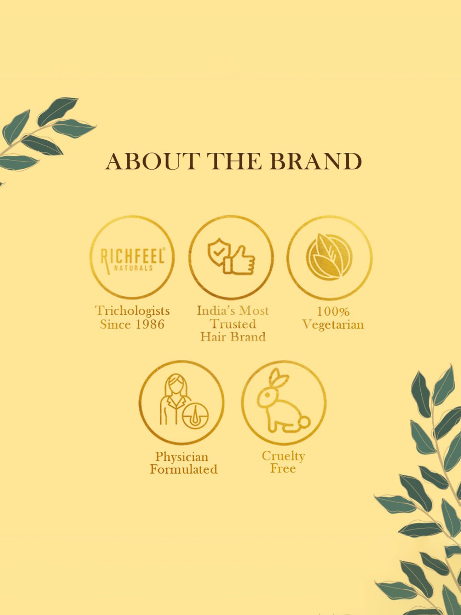 Richfeel Sunshield with SPF 30 - Pack of 2