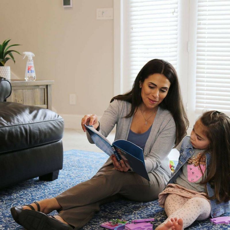 Zevo Ant Roach and Fly Insect Trigger Spray - 12 fl oz