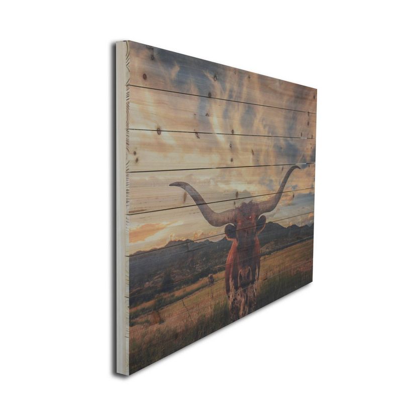 24" x 36" Longhorn Print on Planked Wood Wall Sign Panel - Gallery 57