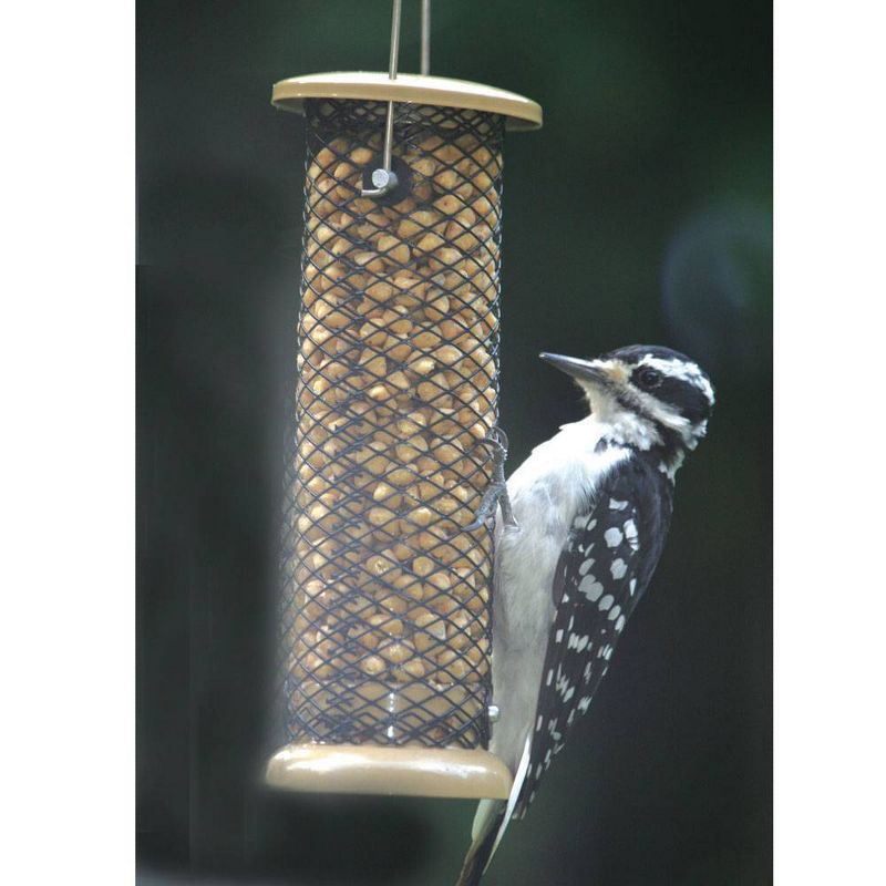 Birds Choice 2 Cup Peanut Bird Feeder