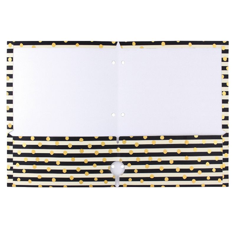 Portfolio 2 Pocket Stripe Black - greenroom