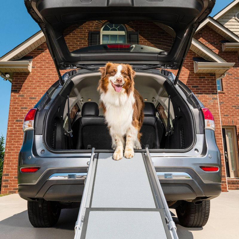 PetSafe Happy Ride Telescoping Dog Ramp - Gray