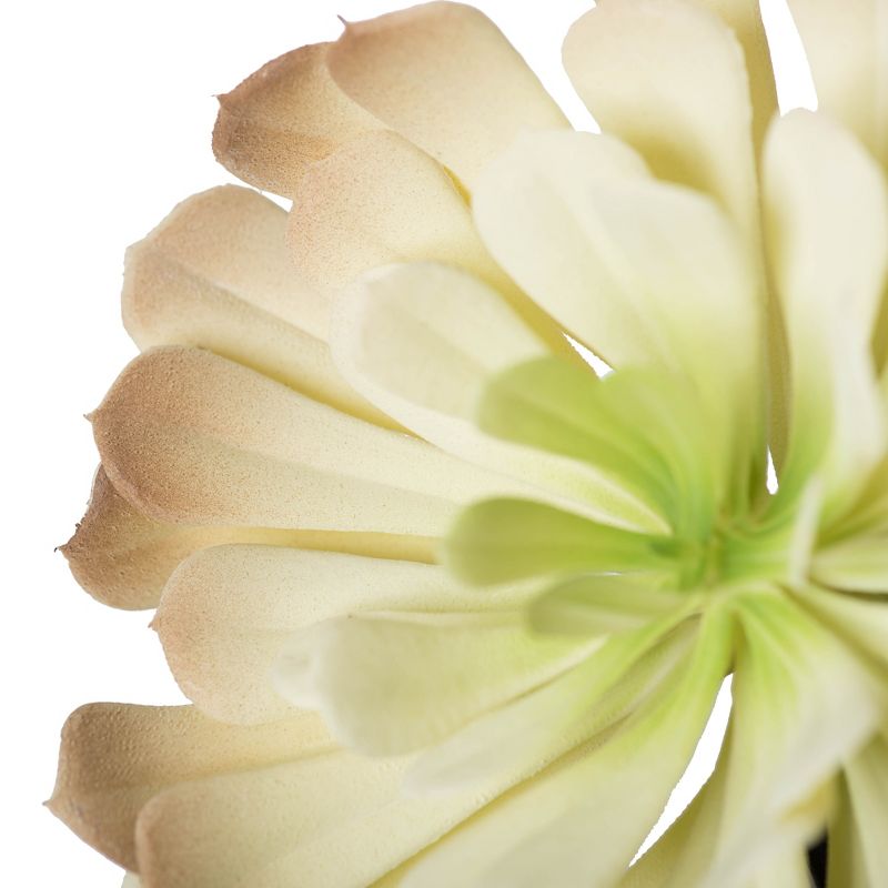 Vickerman 9" Succulent, Paper Pot.