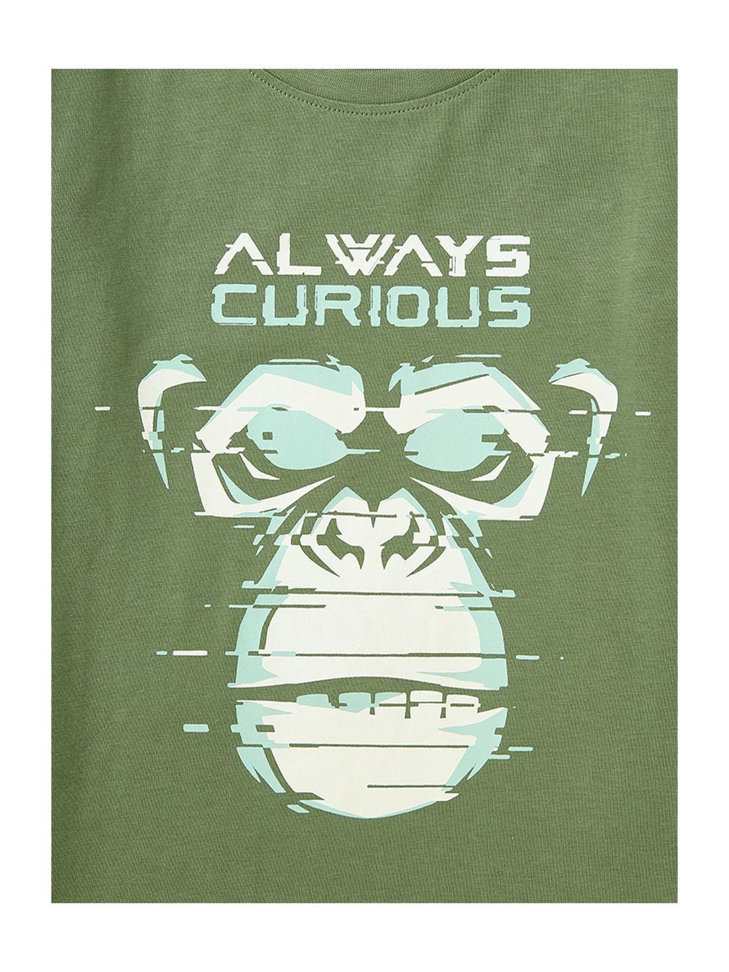 Cub McPaws Kids Multicolor Cotton Printed Full Sleeves T-Shirt (Pack of 3)