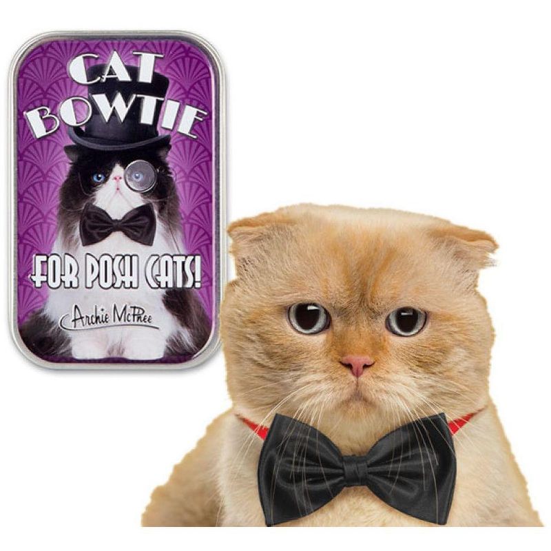 Accoutrements Bow Tie For Cats in Collectible Tin