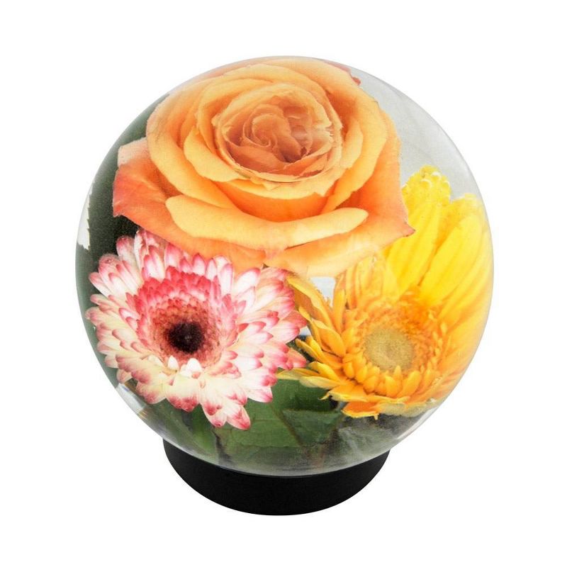6.4" Glass Globe Vase Clear - ACHLA Designs