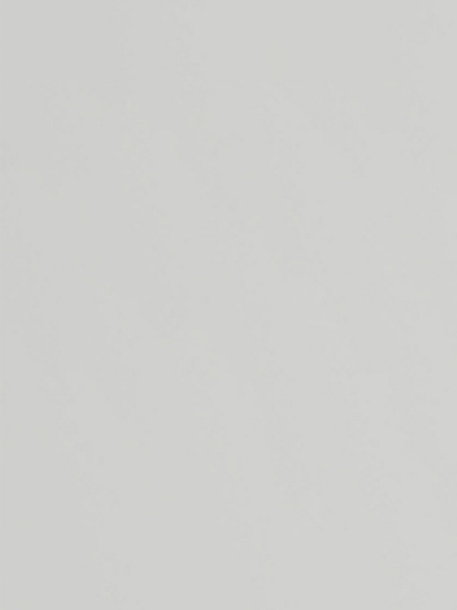 Home Basics 5 Dual Hook Chrome Plated Steel Over the Door Hanging Rack