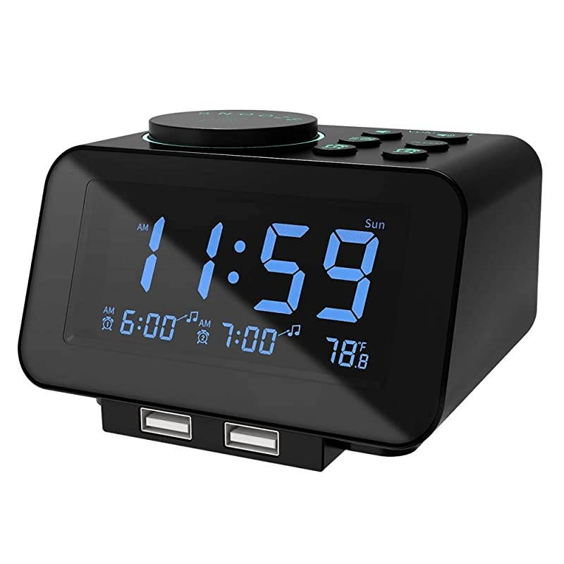 DigitalAlarm Clock Radio 0100 Dimmer Dual Alarm with WeekdayWeekend Mode 6 Sounds Adjustable Volume FM Radio wSleep Timer Snooze 2USB Charging PortsThermometer Battery Backup