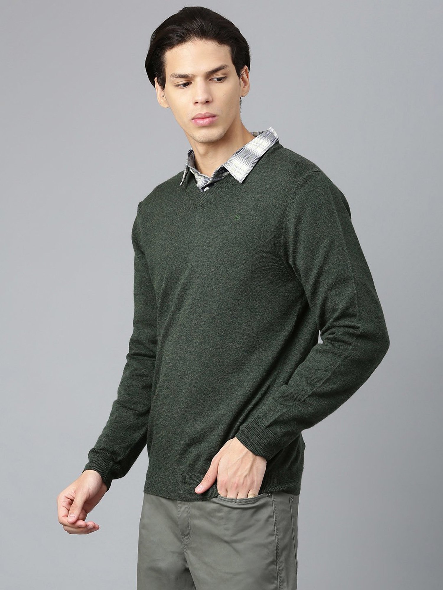 Woods Dark Green Regular Fit V Neck Sweater