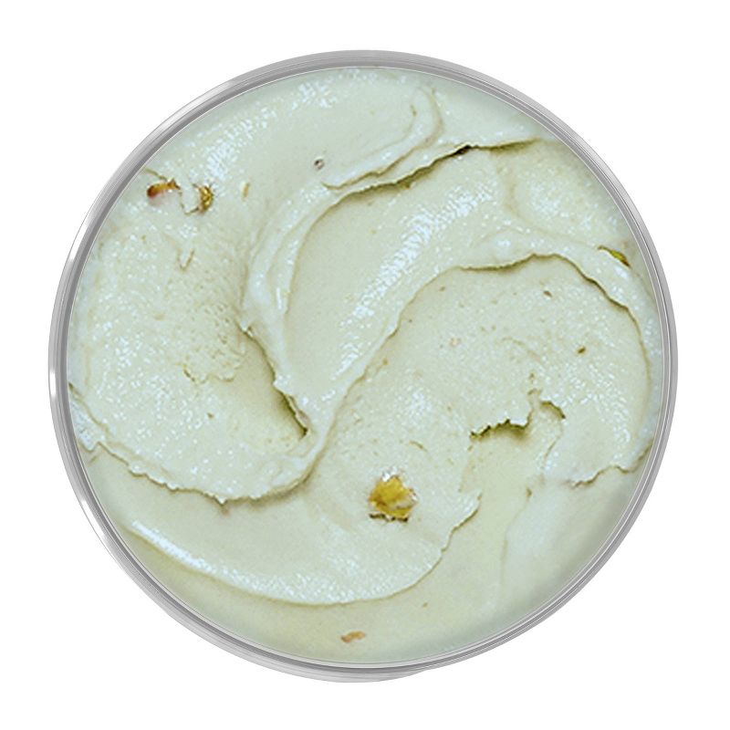 Talenti Pacific Coast Pistachio Frozen Gelato - 16oz