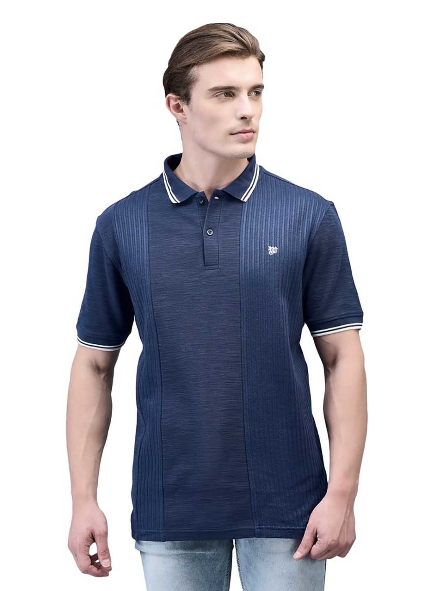 Woods Dark Blue Regular Fit Striped Polo T-Shirt