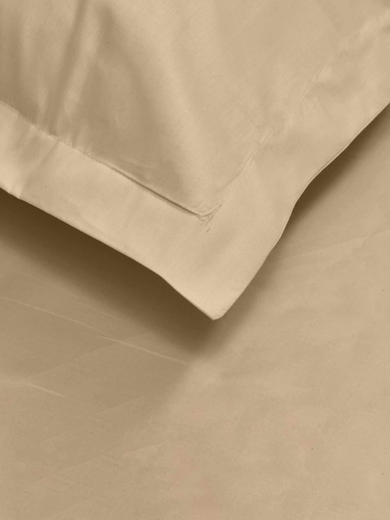 Haus & Kinder Solid Beige 300 TC Cotton Bed Sheet with 2 Pillow Covers