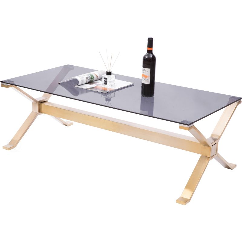 Bold Tones Rectangular Gold Stainless Steel Metal Smoked Glass Modern Coffee Table