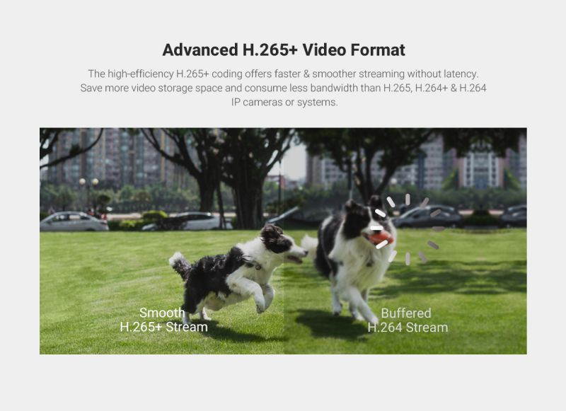 ANNKE 4K Ultra HD PoE NVR System with 4MP Super HD True Full Color Night Vision H.265+ Network PoE Bullet IP Security Cameras for Outdoor Indoor Business Home CCTV Surveillance 4 Cameras - No HDD