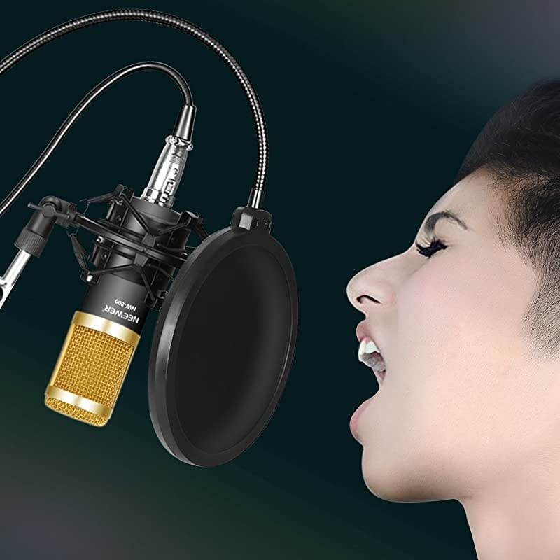 Professional Studio Broadcasting Recording Condenser Microphone & NW- 35 Adjustable Recording Microphone Suspension Scissor Arm Stand with Shock Mount and Mounting Clamp Kit