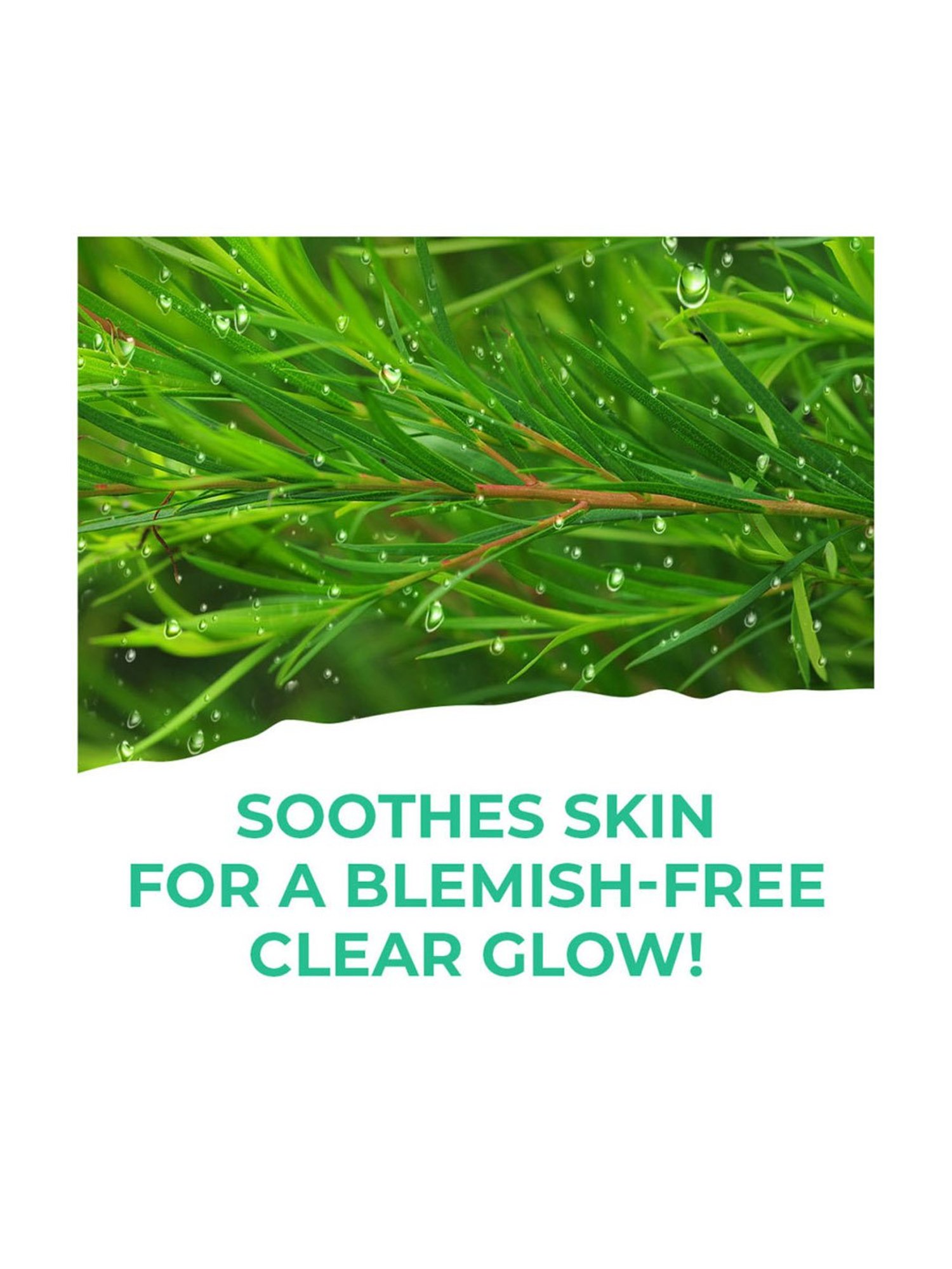 St. Ives Clear Glow Micellar Water Tea Tree - 400 ml