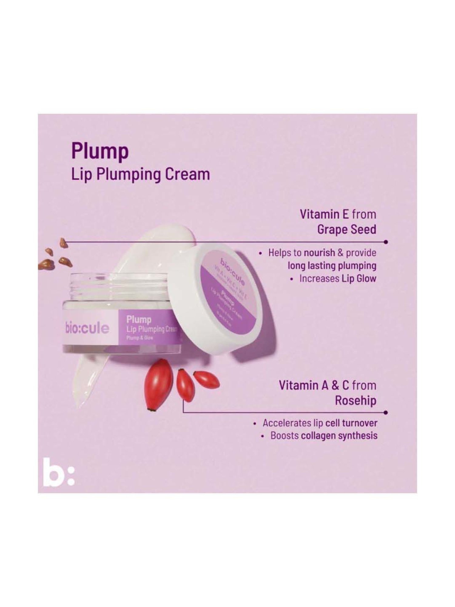 Biocule Vitamin C+A+E Roseship Lip Plumping Cream - 15 gm