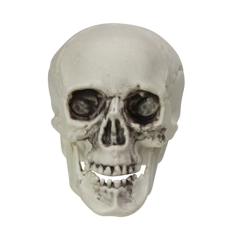 Northlight 3.5" Skeleton Skull Heads with Open Mouths Halloween Decorations 6ct - White/Gray