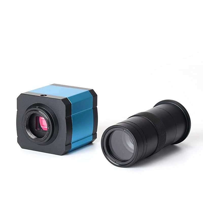 MicroMini 20x LED Lighted Pocket Microscope with Builtin UV and LED Flashlight Green